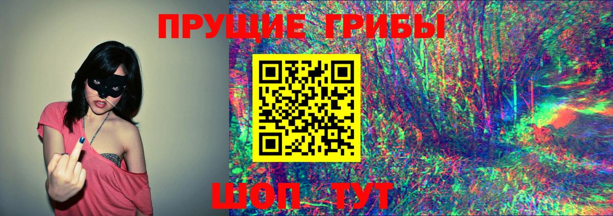 Псилоцибиновые грибы GOLDEN TEACHER  Вход с VPN  Псилоцибиновые грибы Magic Shrooms  где купить   Лобня 