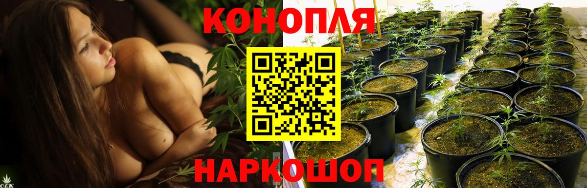 Каннабис сатива  Вход с VPN  МАРИХУАНА Amnesia  Шишки марихуана план  Бошки Шишки White Widow  Лобня 